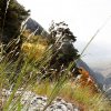 20101009_039
